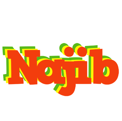 Najib bbq logo