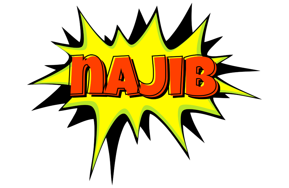 Najib bigfoot logo
