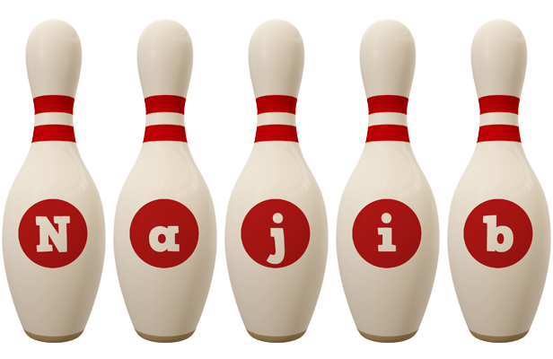Najib bowling-pin logo