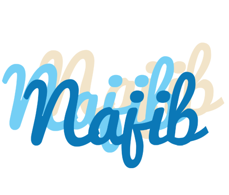 Najib breeze logo