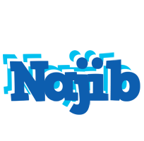Najib business logo