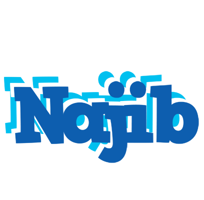 Najib business logo