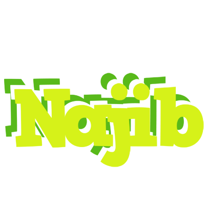 Najib citrus logo
