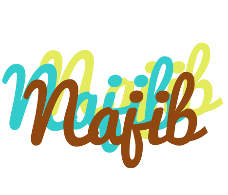 Najib cupcake logo