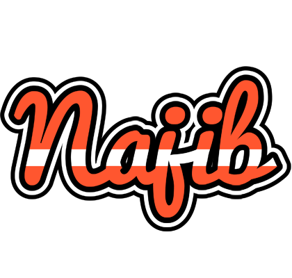 Najib denmark logo