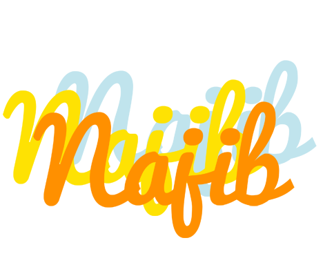 Najib energy logo