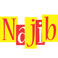 Najib errors logo