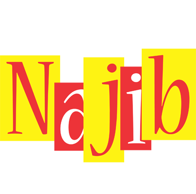 Najib errors logo