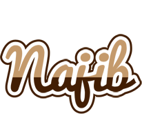 Najib exclusive logo