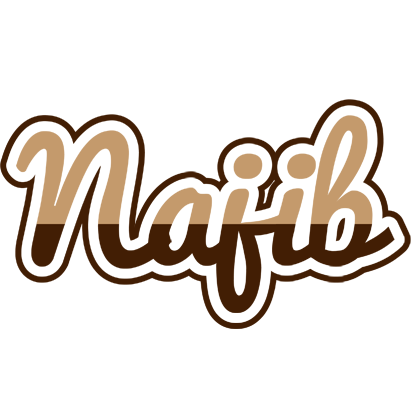 Najib exclusive logo