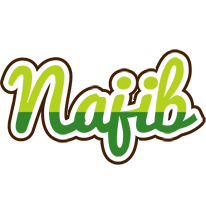 Najib golfing logo