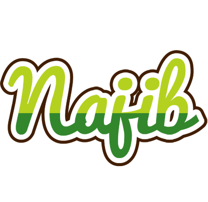 Najib golfing logo