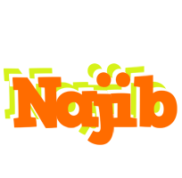 Najib healthy logo