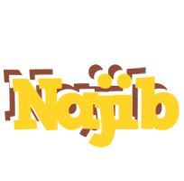 Najib hotcup logo
