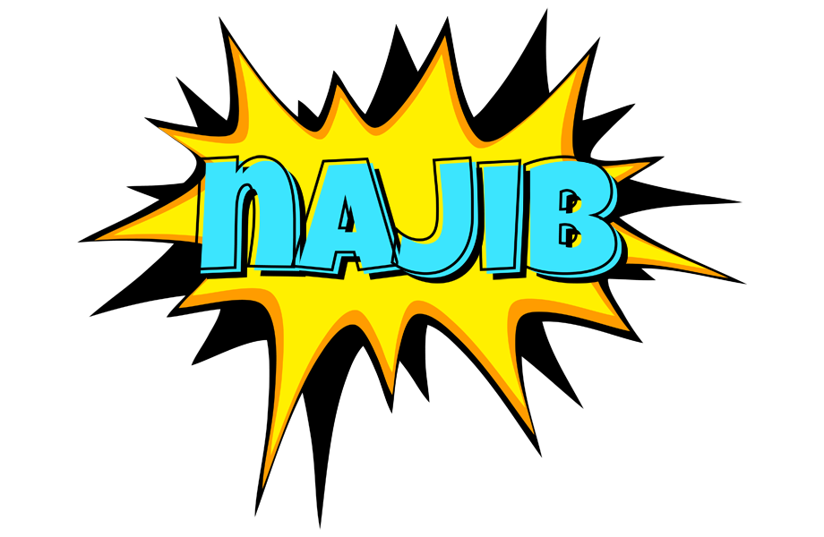 Najib indycar logo