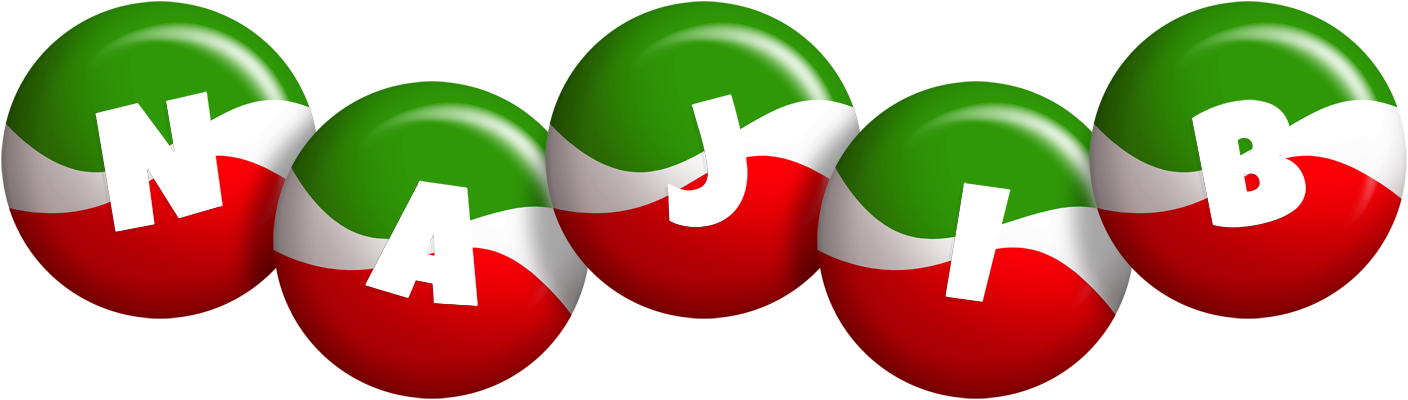 Najib italy logo