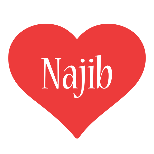 Najib love logo