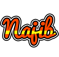 Najib madrid logo