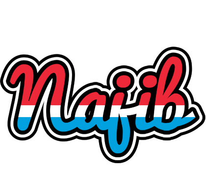 Najib norway logo