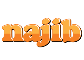 Najib orange logo