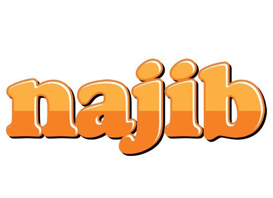 Najib orange logo