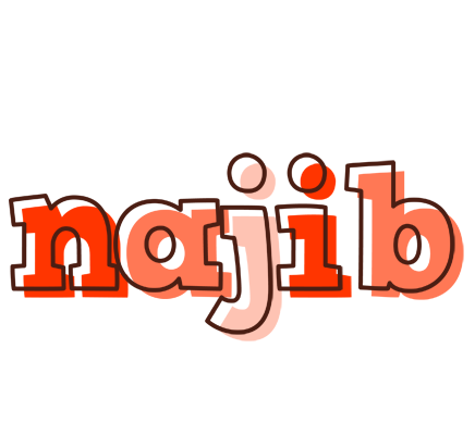 Najib paint logo