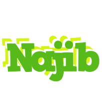 Najib picnic logo