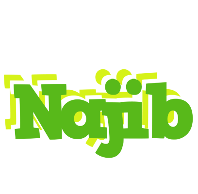 Najib picnic logo