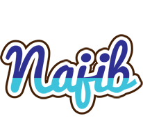 Najib raining logo
