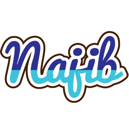 Najib raining logo