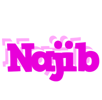 Najib rumba logo