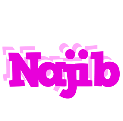 Najib rumba logo