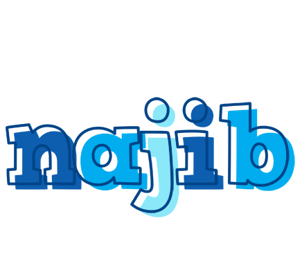 Najib sailor logo