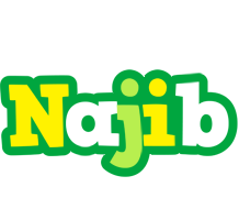 Najib soccer logo