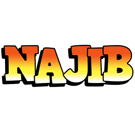Najib sunset logo