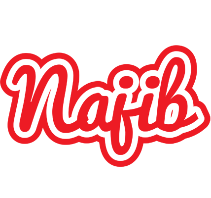Najib sunshine logo