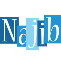 Najib winter logo