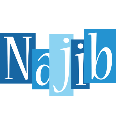 Najib winter logo