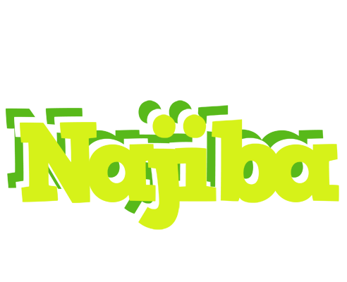 Najiba citrus logo