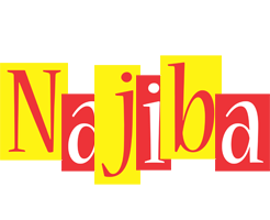 Najiba errors logo