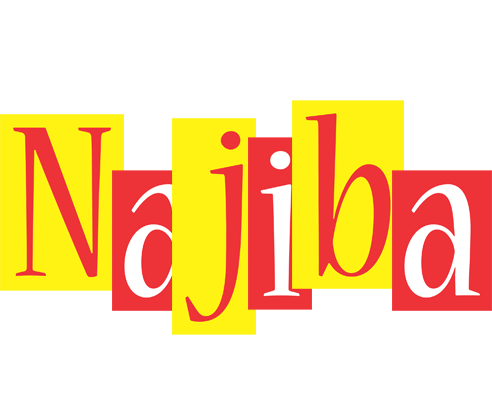 Najiba errors logo