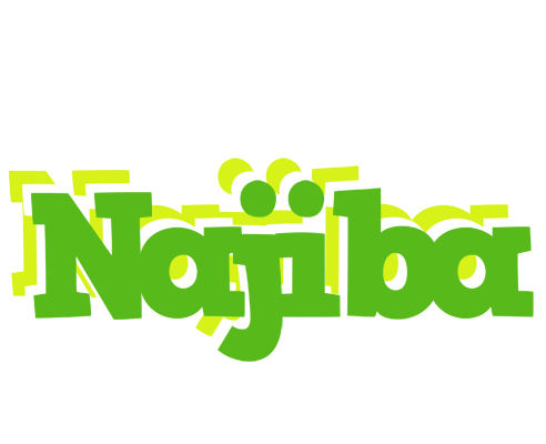 Najiba picnic logo
