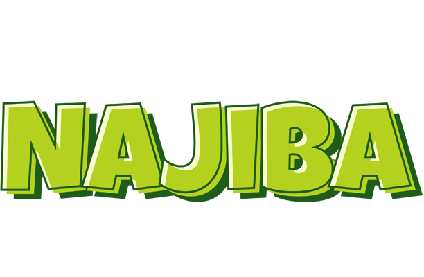 Najiba summer logo