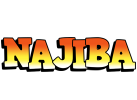 Najiba sunset logo