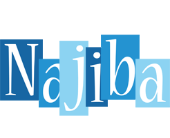 Najiba winter logo