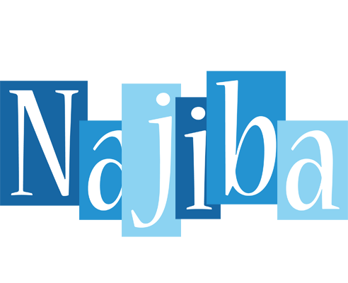 Najiba winter logo