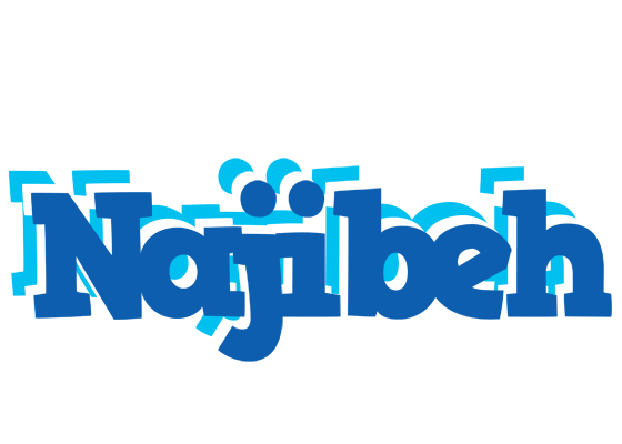 Najibeh business logo
