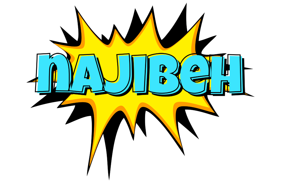 Najibeh indycar logo