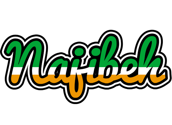 Najibeh ireland logo