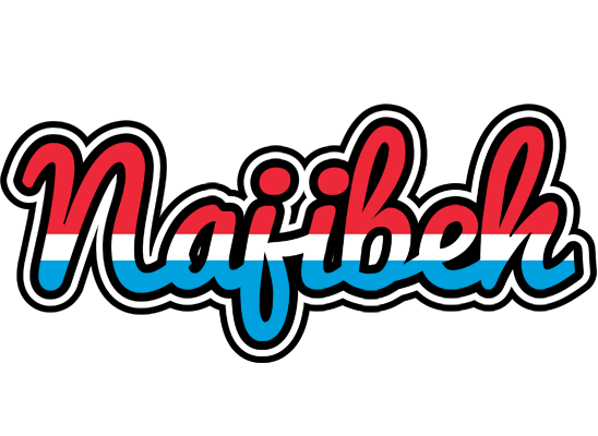 Najibeh norway logo